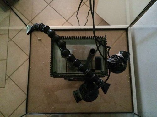 IMG_4275.JPG (40.8 KiB) Vist 2188 gange Akvariet set oppe fra