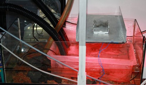sump feb 2015.JPG