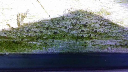 20150219_210631.jpg