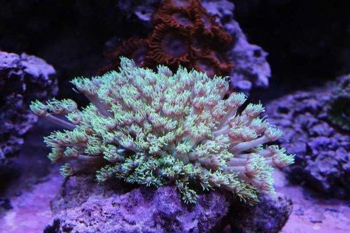 IMG_0177.JPG