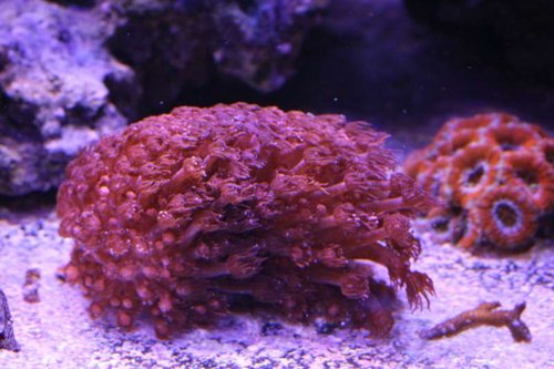 IMG_6172.JPG
