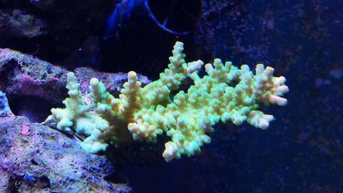 20150228_141409.jpg