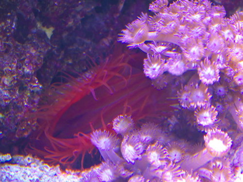 DSCF9836.jpg