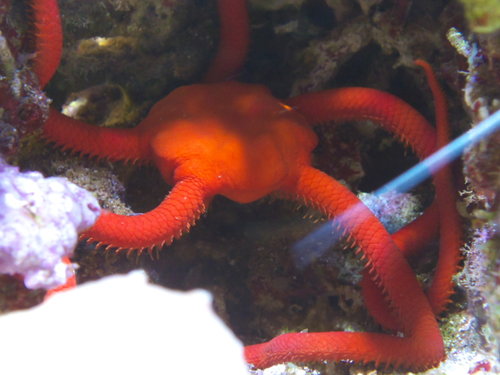 DSCF9830.jpg