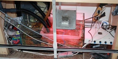sump marts 2015.JPG