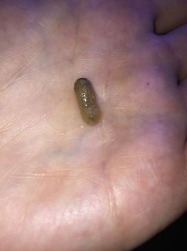 Her har jeg så banditten i hånden ;-)