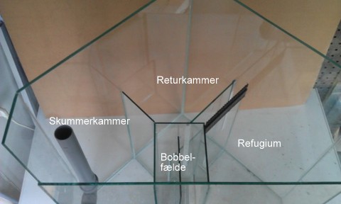 IMAG0009.jpg