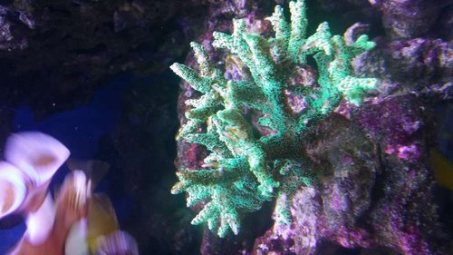 20150314_154400.jpg