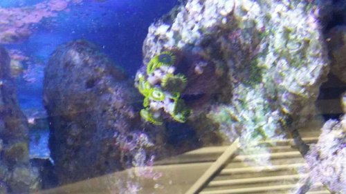 20150316_150031.jpg