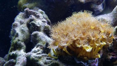 20150315_195622.jpg