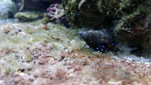 20150315_195741.jpg