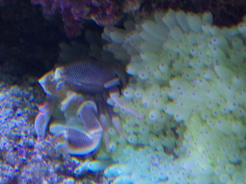 DSCF9840.jpg