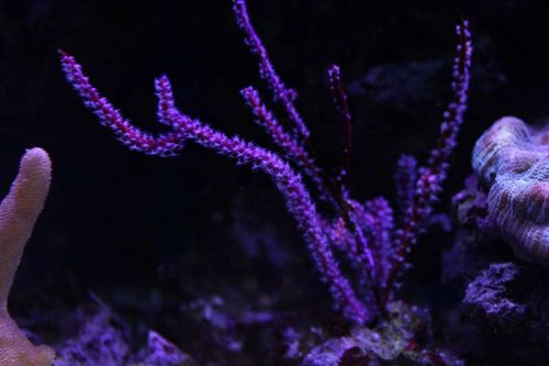 IMG_9305.JPG
