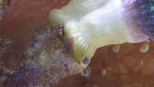 20150323_173829.jpg
