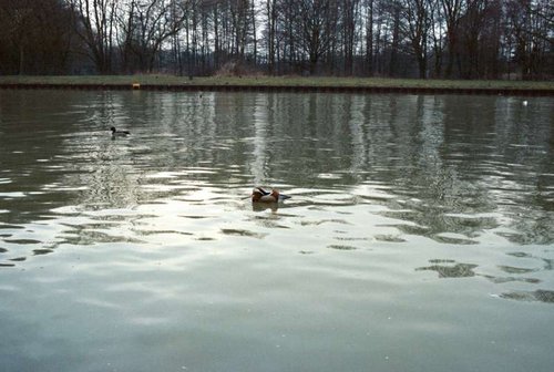 Photo10_10.jpg