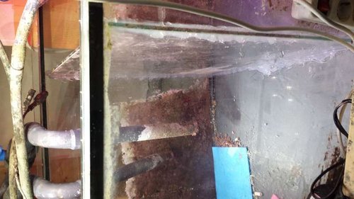 glas.jpg