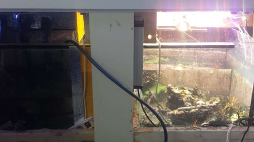 refugium.jpg