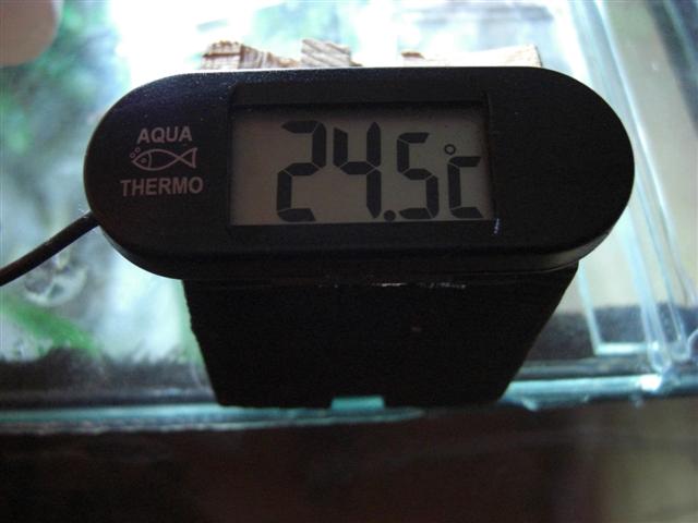 CIMG0303 (Small).JPG