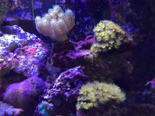 IMG_1478.JPG