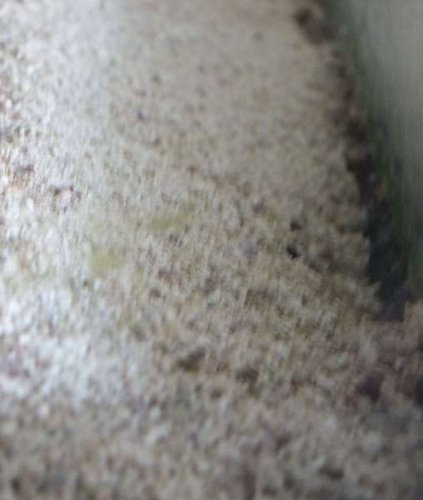 DSCF9856.JPG