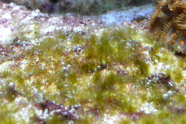 P1020096 (Small).JPG