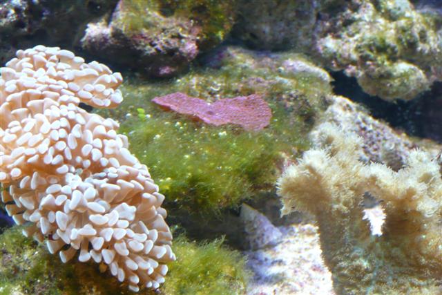 P1020095 (Small).JPG