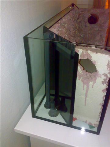 11102007264 (Small).jpg