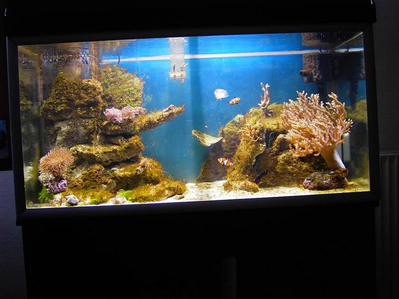 PICT3280 (Medium).JPG
