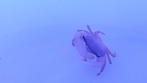 20150507_220630.jpg