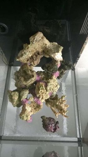 Test af sten i akvariet.....