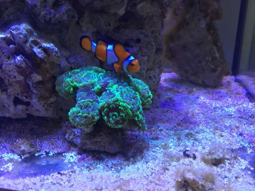 IMG_0476.jpg