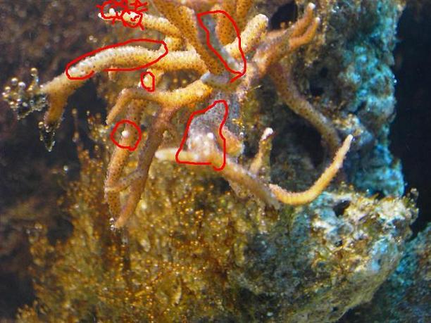 PICT3326 (Medium).JPG