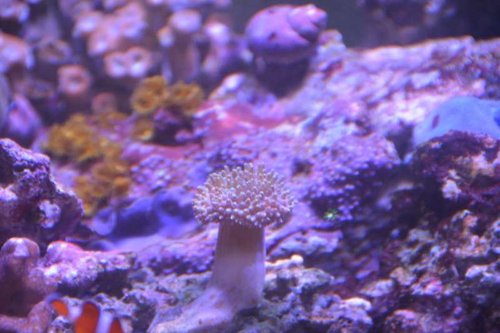NCM_4210.jpg