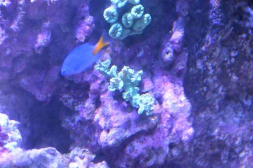 NCM_4214.jpg