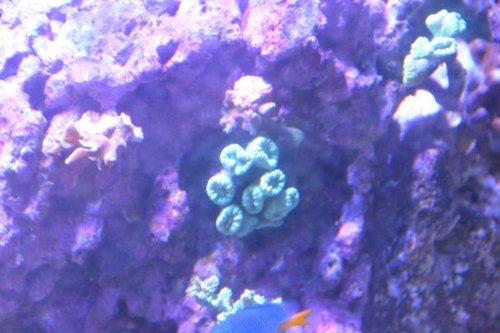 NCM_4215.jpg