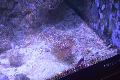 NCM_4217.jpg