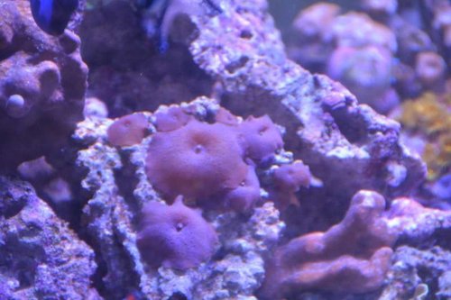 NCM_4222.jpg
