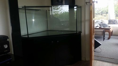 20150518_150258.jpg