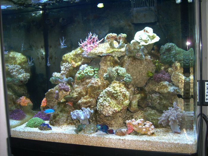 PICT1699_2.JPG