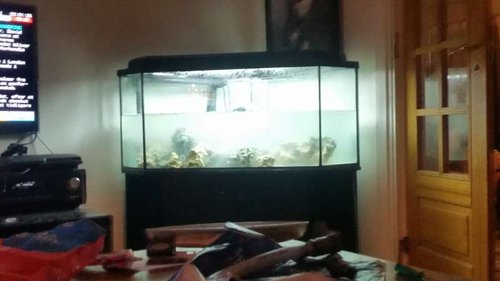 20150521_230151.jpg