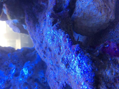 image.jpg (56.56 KiB) Vist 3146 gange LS fra velindkørt system