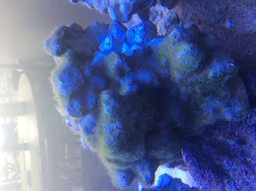 image.jpg (48.04 KiB) Vist 3146 gange LS fra nyere system