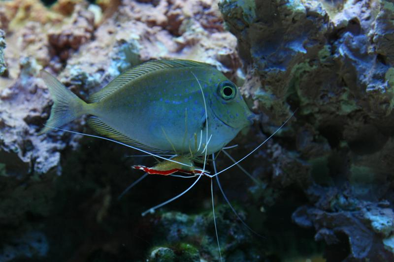 IMG_6445 (Medium).JPG