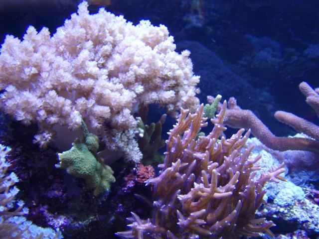 PA130022 (Small).JPG