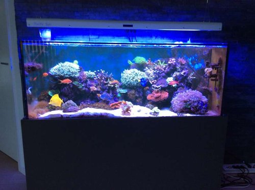 image.jpg (42.34 KiB) Vist 576 gange image.jpg