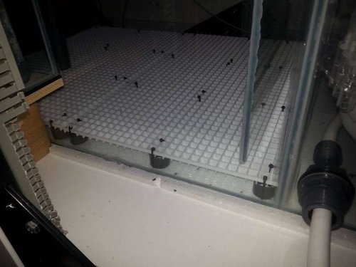 gitter sump 4