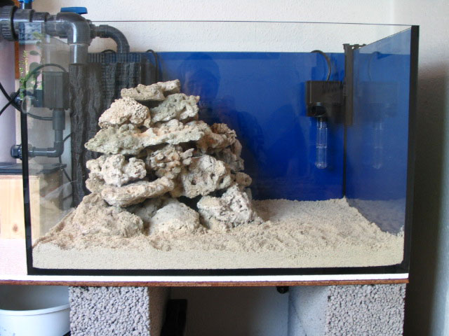 Reefny-004.jpg