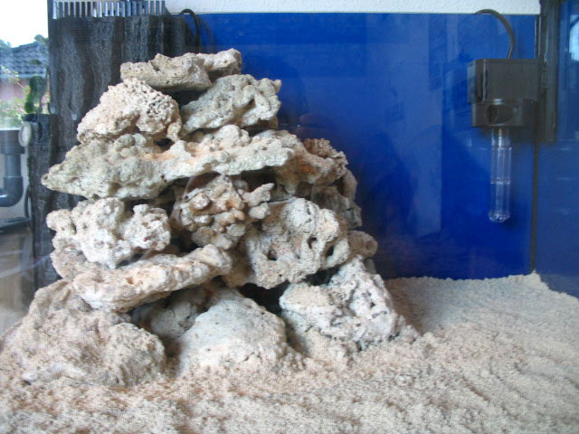 Reefny-008.jpg