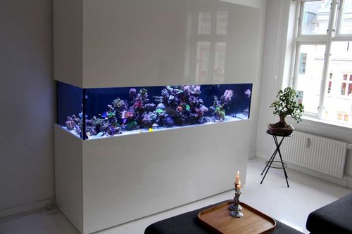FTS