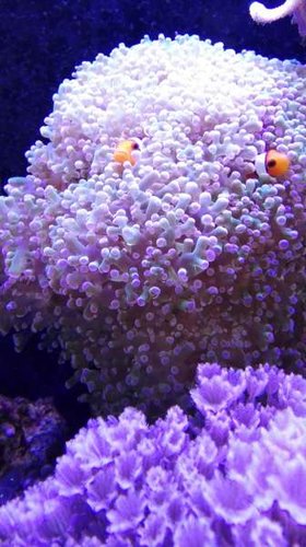 IMG_20150701_173508.jpg